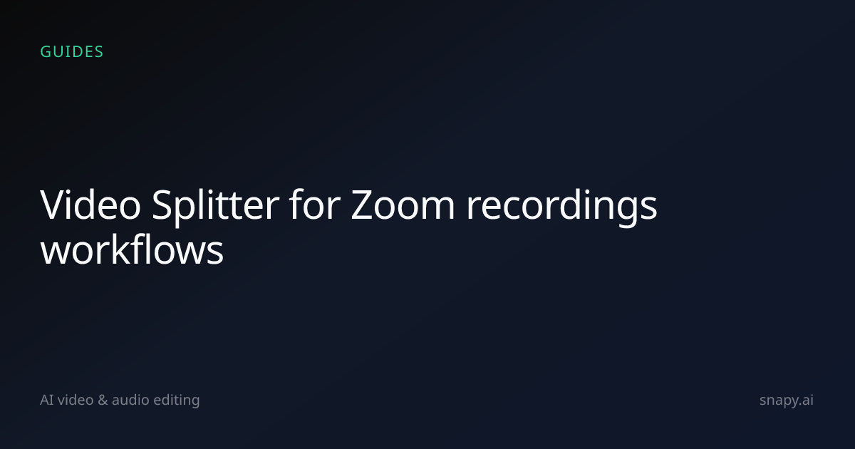 Video Splitter for Zoom recordings | Snapy.ai
