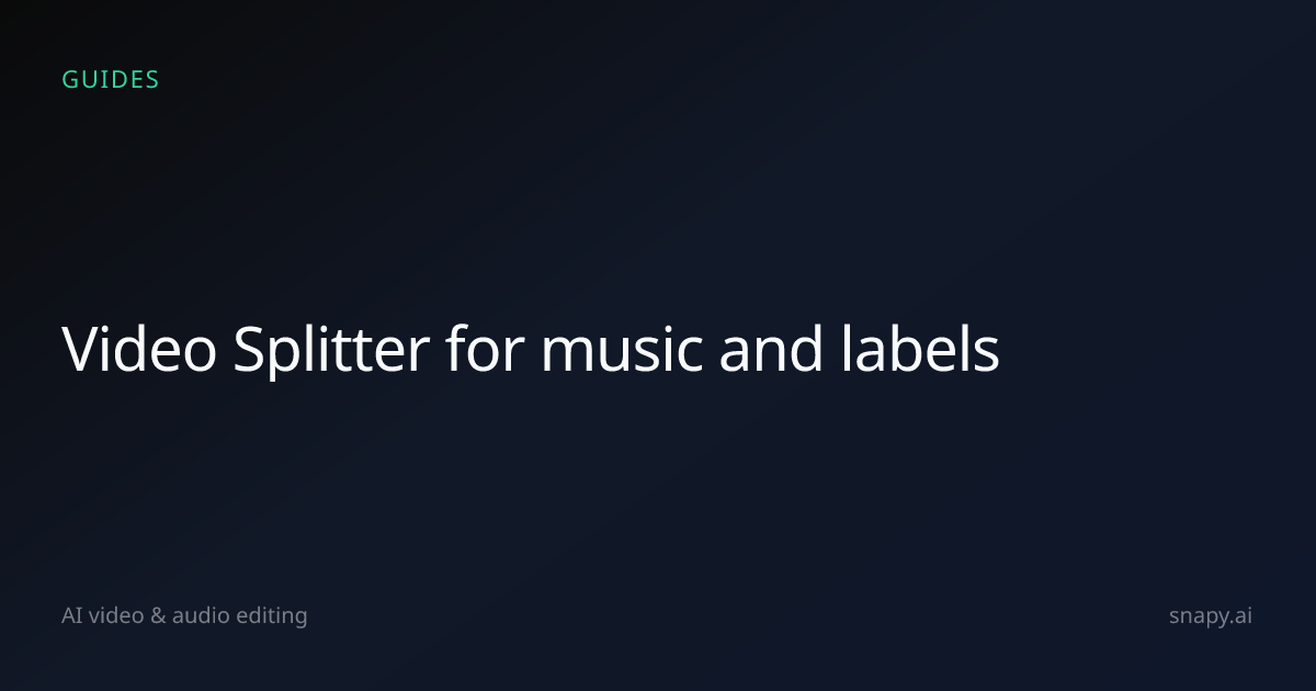 Video Splitter for music and labels | Snapy.ai